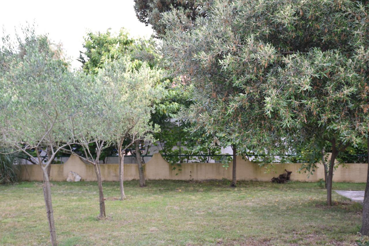 Apartments Antonija Punta Skala Next To Falkensteiner Resort Petrcane Exterior photo